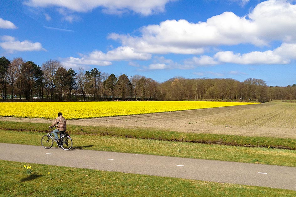 Cycling in Holland's tulip fields at Keukenhof