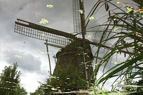 Spotting our first Dutch windmill