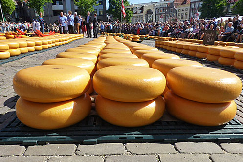 Gouda at Alkmaar cheese market