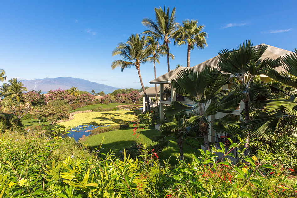 Wailea's hidden gem, views from the hillside vantage point of the hotel Wailea, Maui